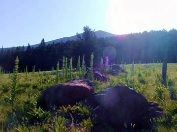 AZ Red Lodge Longhouse - ceremony in nature